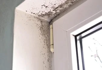 Mold_Rem